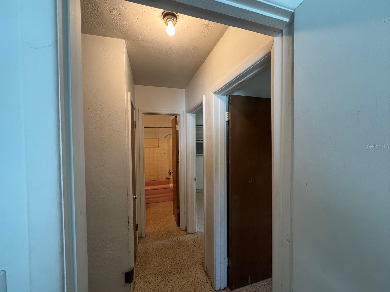 Hallway view form hall to the bathroom.