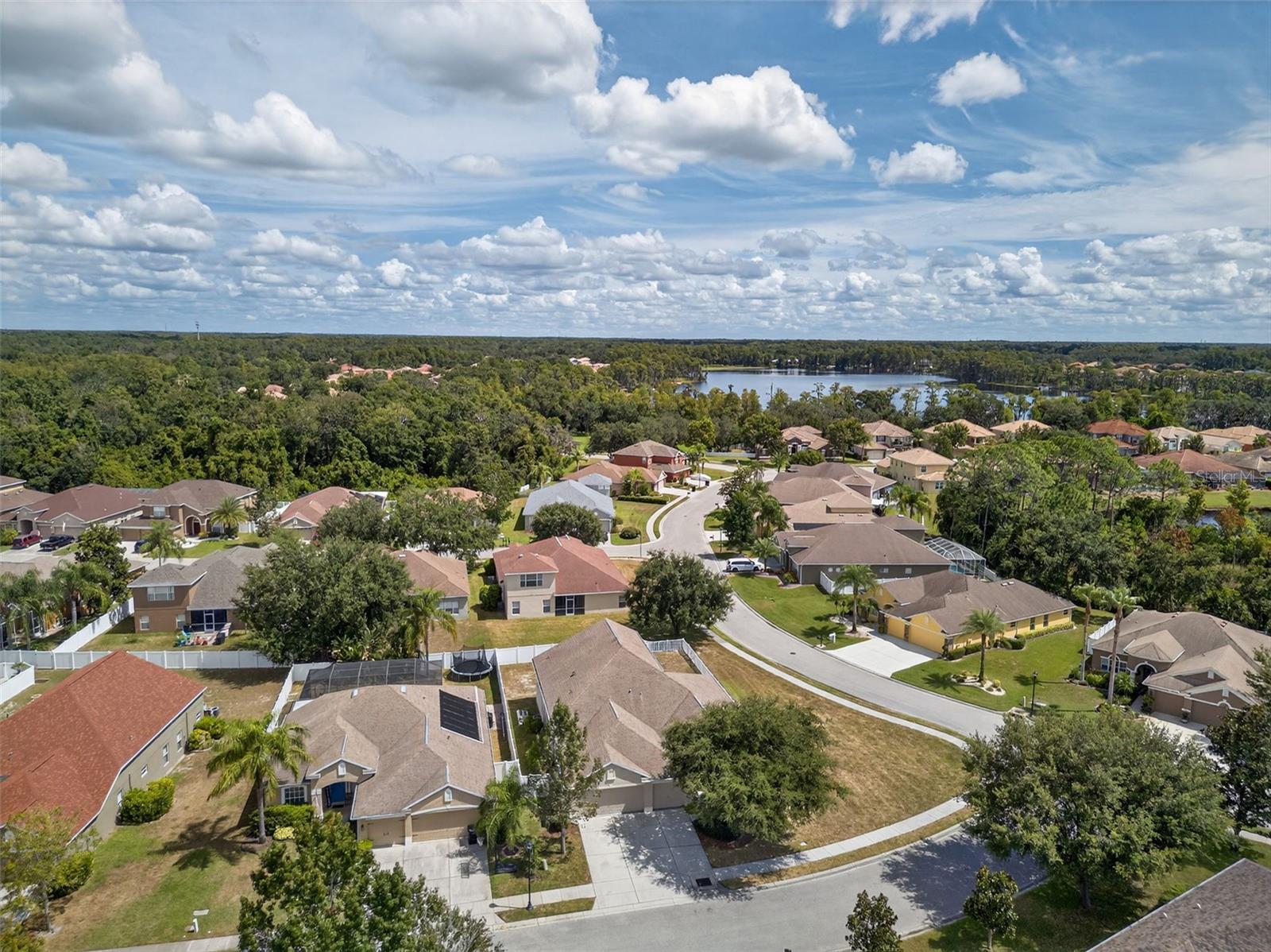 W7879439
