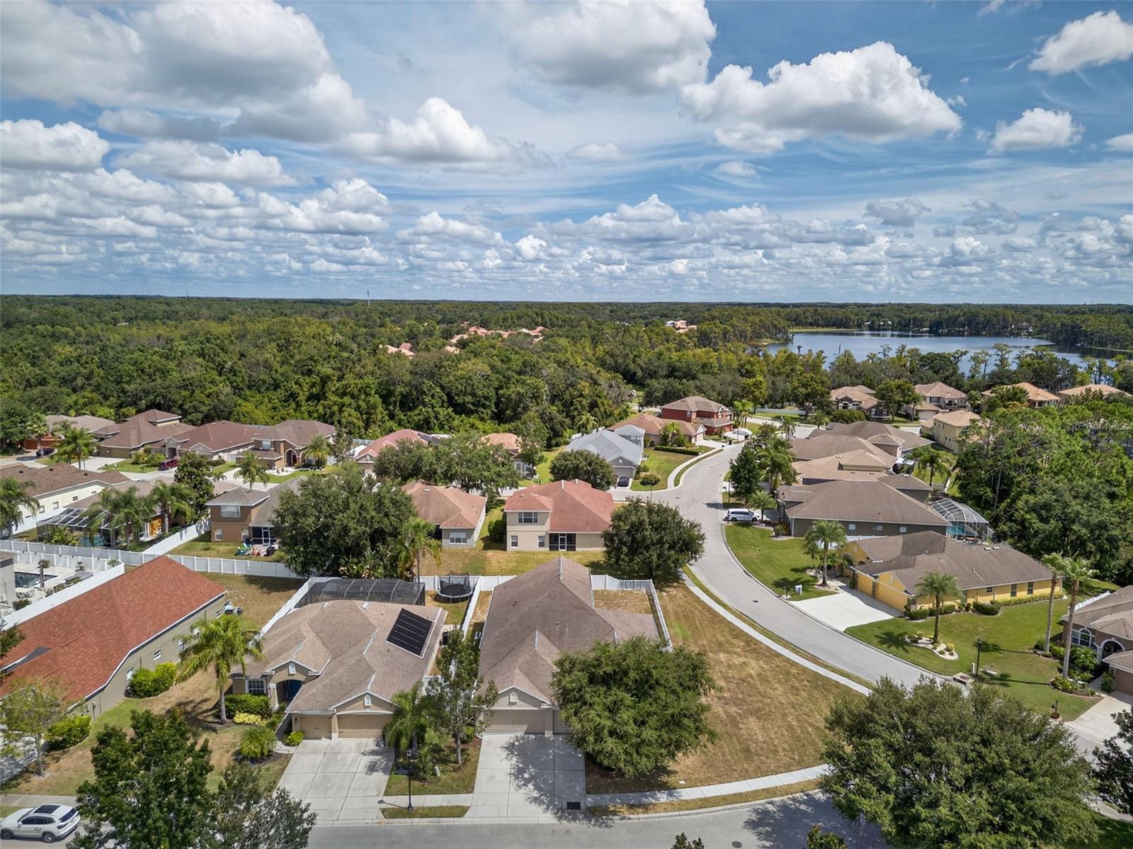 W7879439