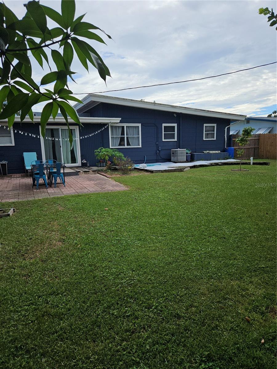 Back yard