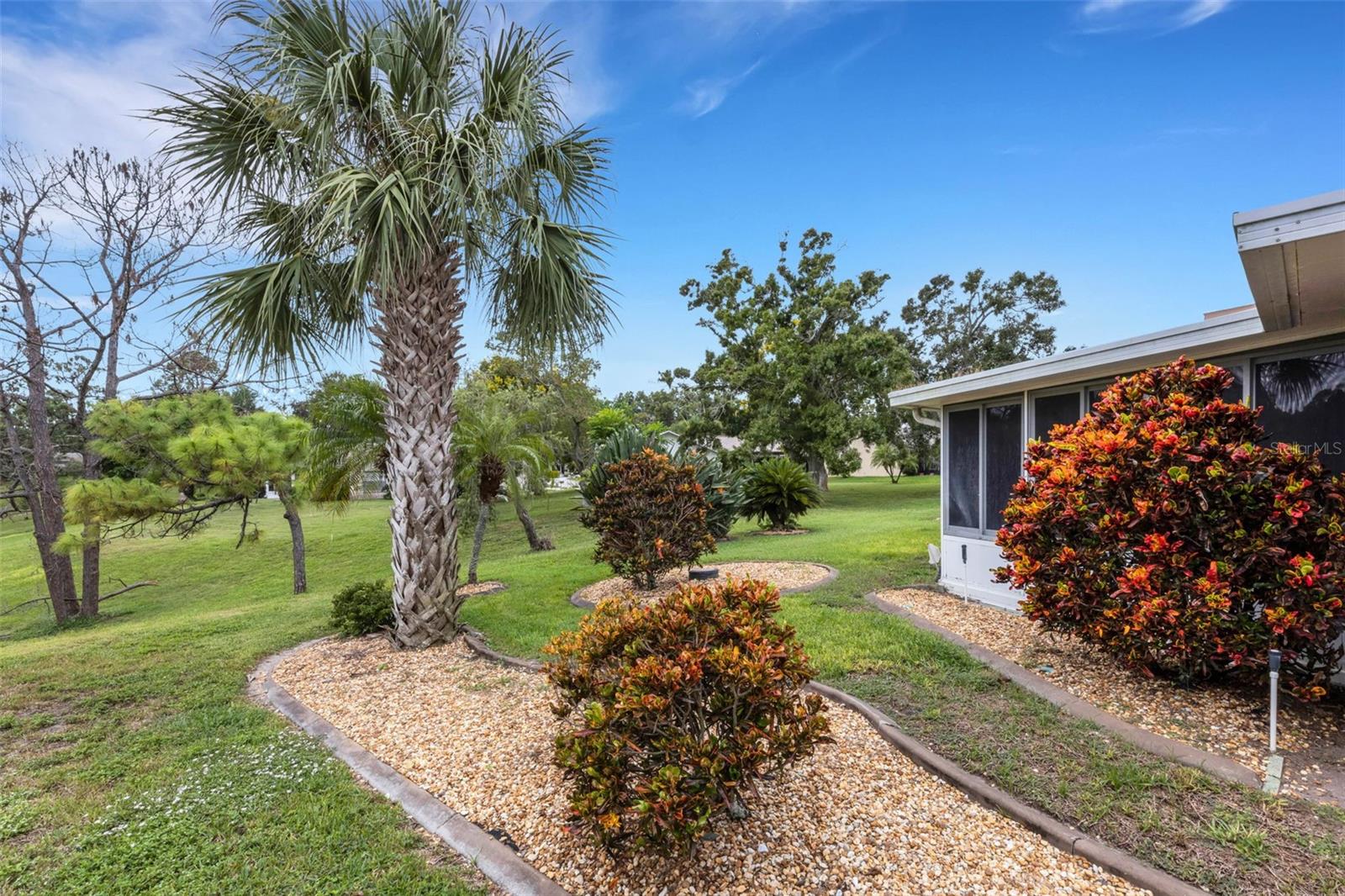 Left side of back yard