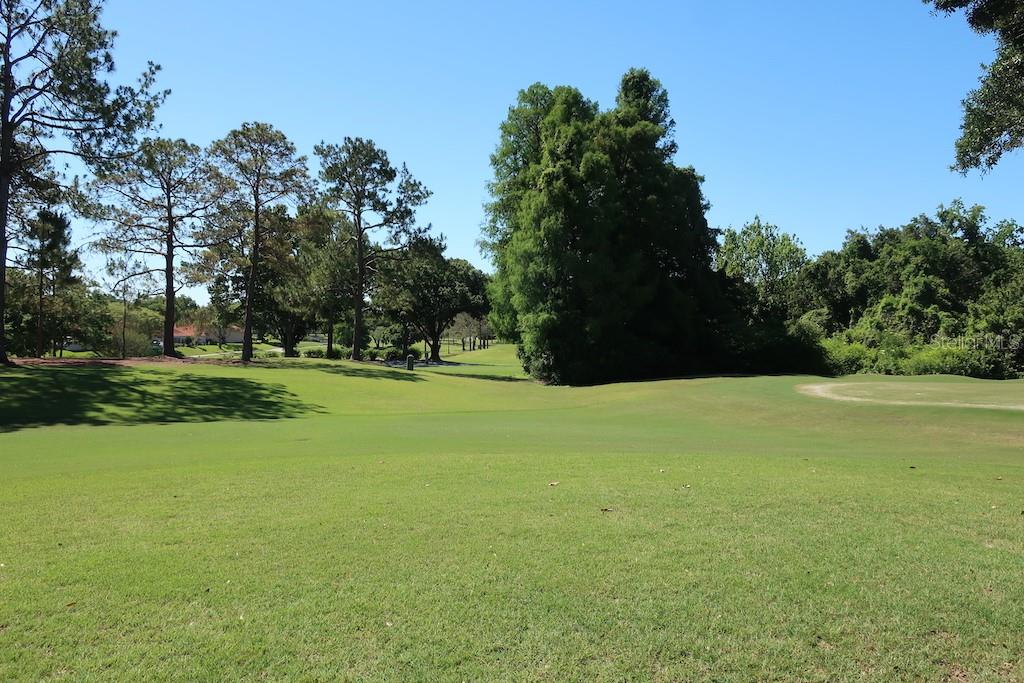 Great day for a game of golf