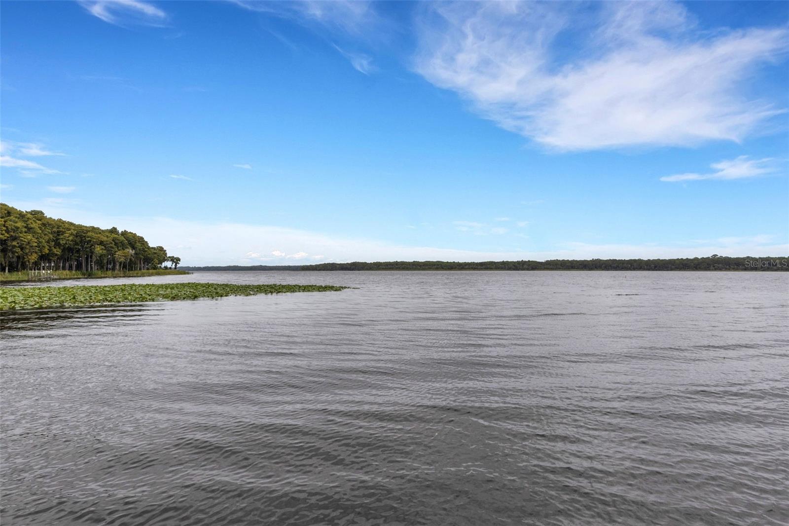 Lake Tarpon