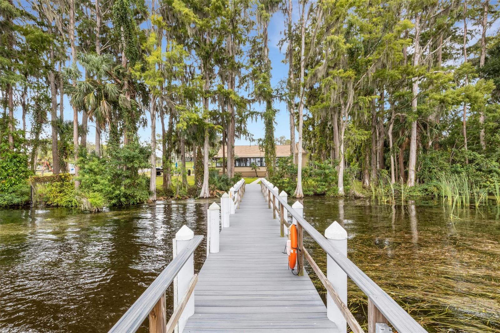 Composite wood dock