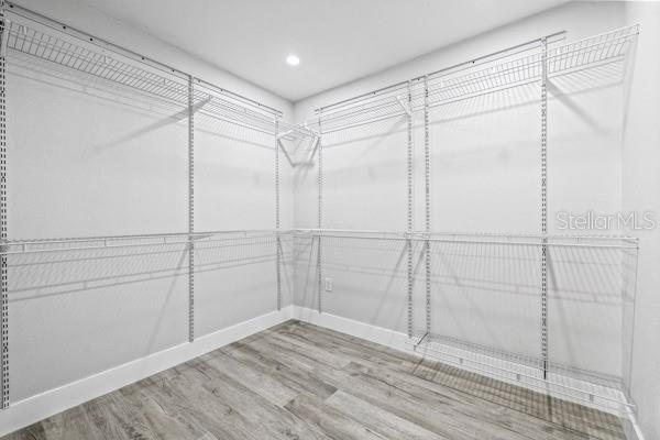Walking Closet