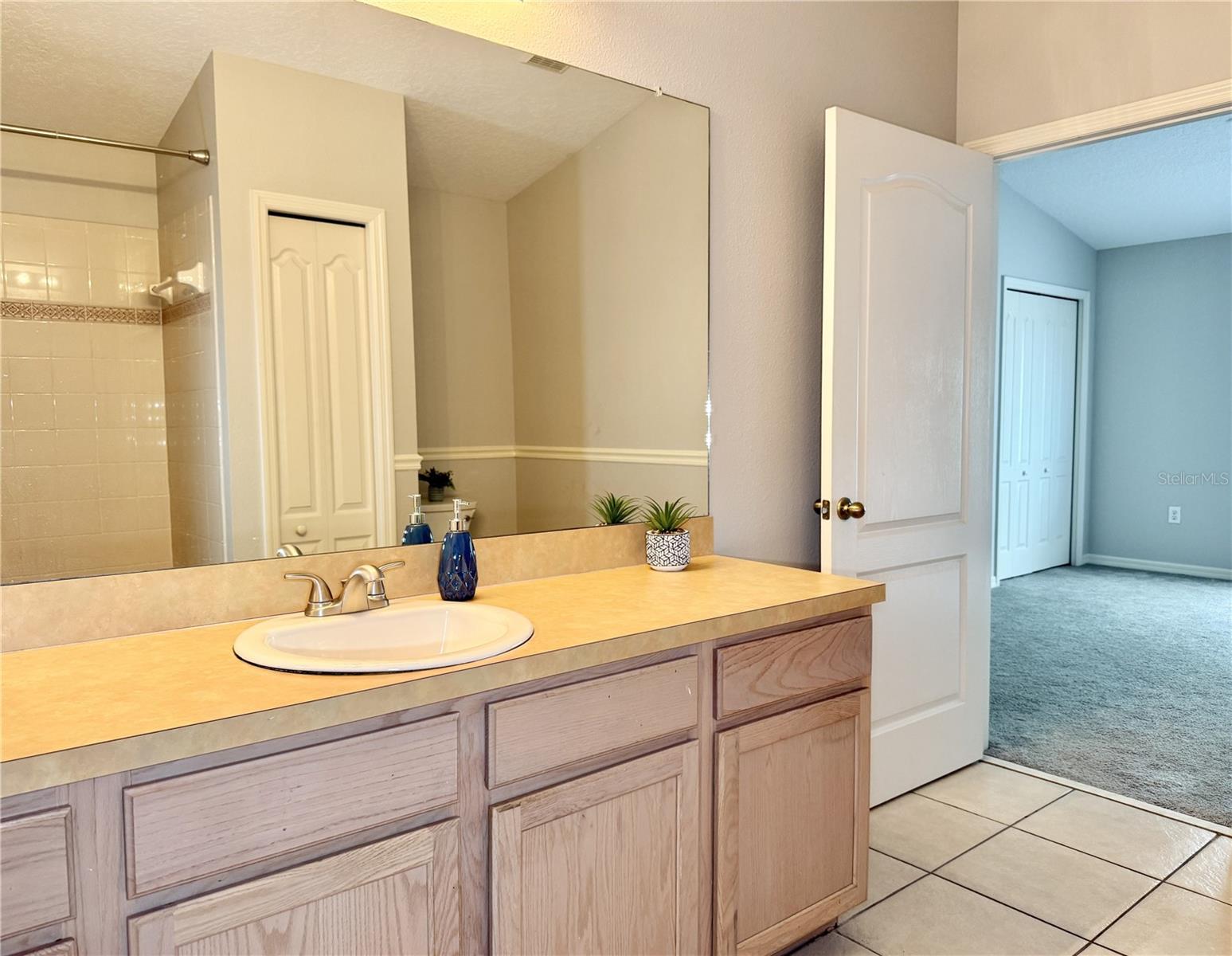 Primary Bath - Large Vanit with Tons of Storage Space