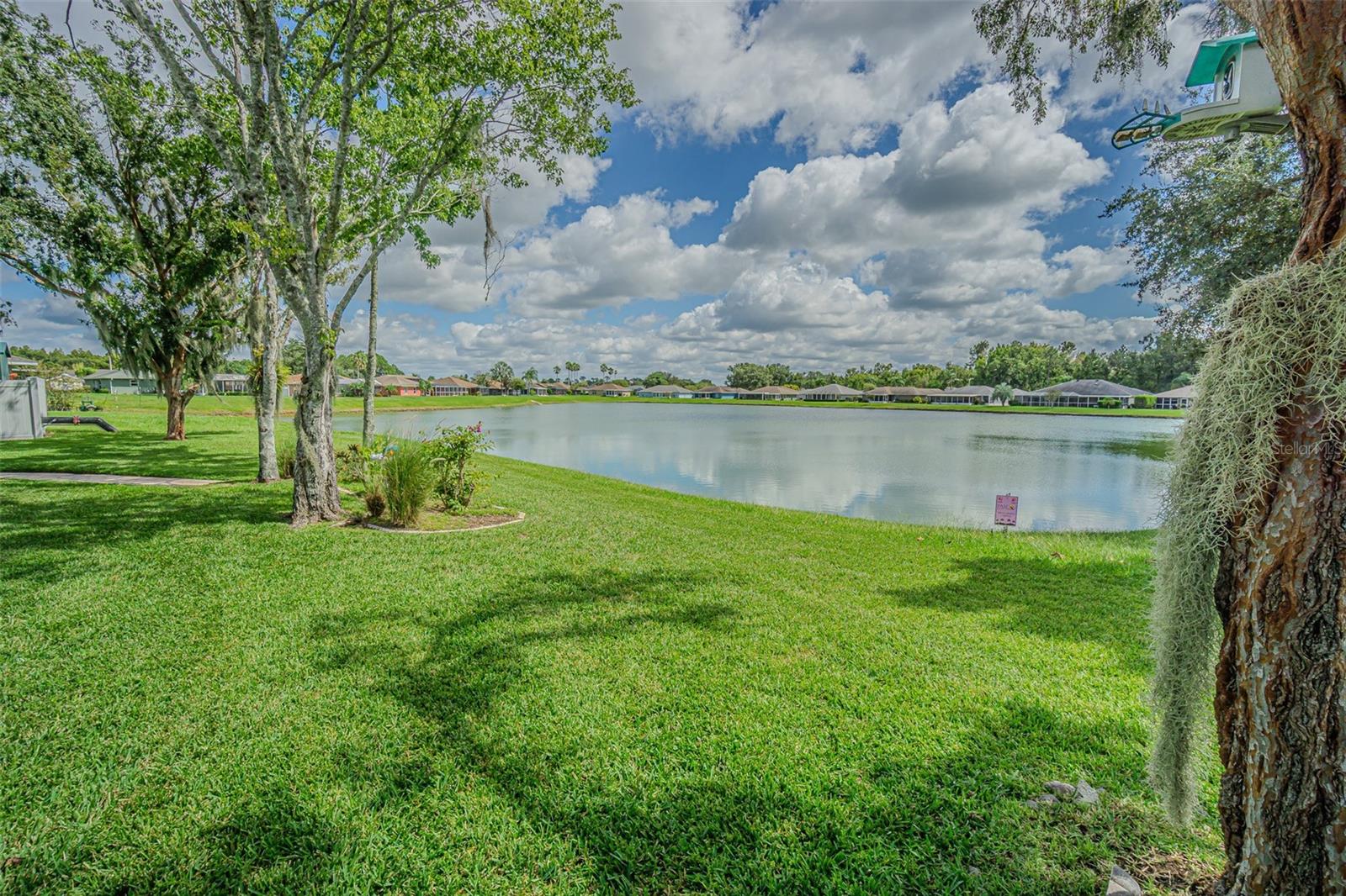 Serene POND views!