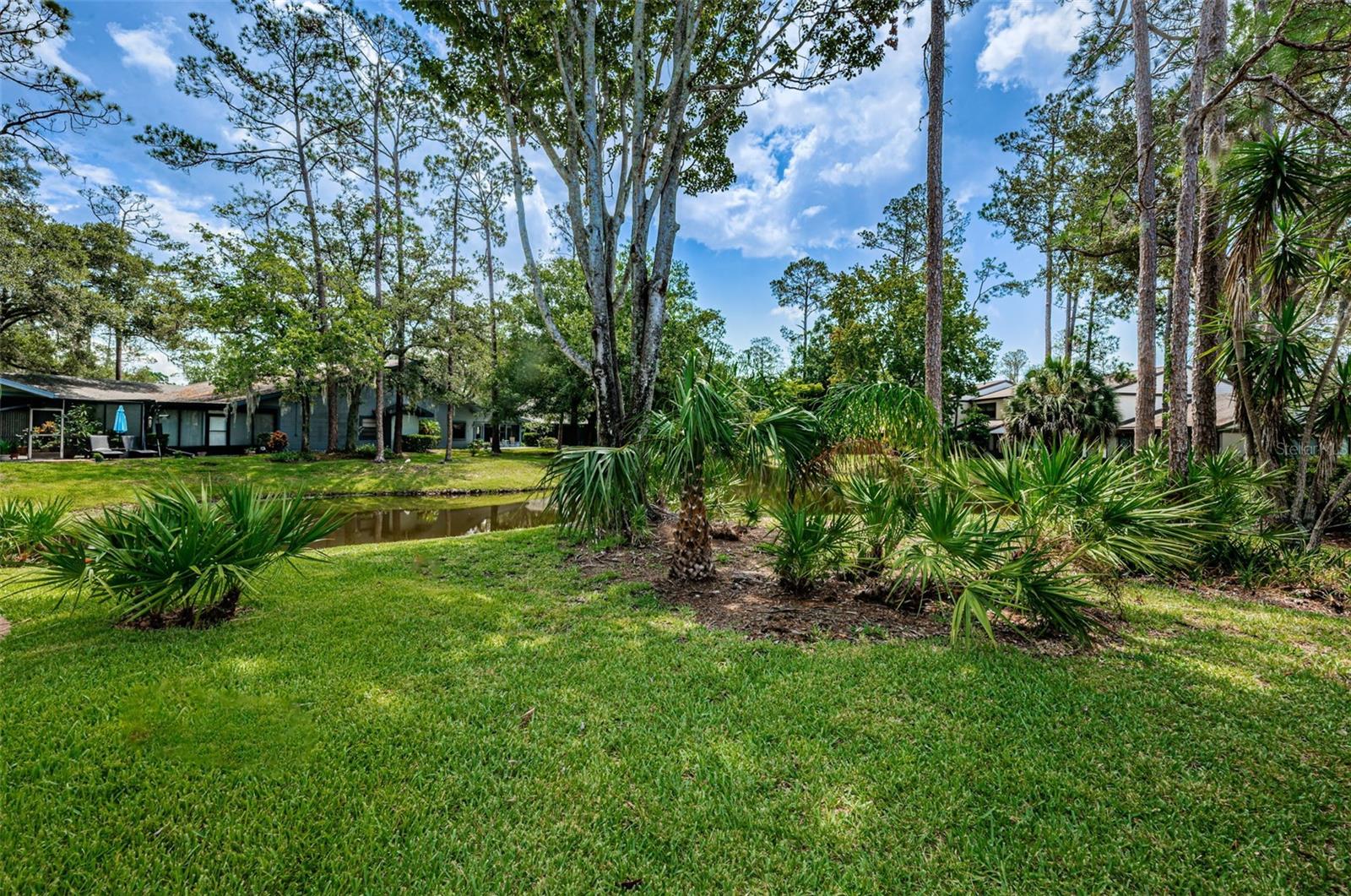 Open green backyard with waterviews