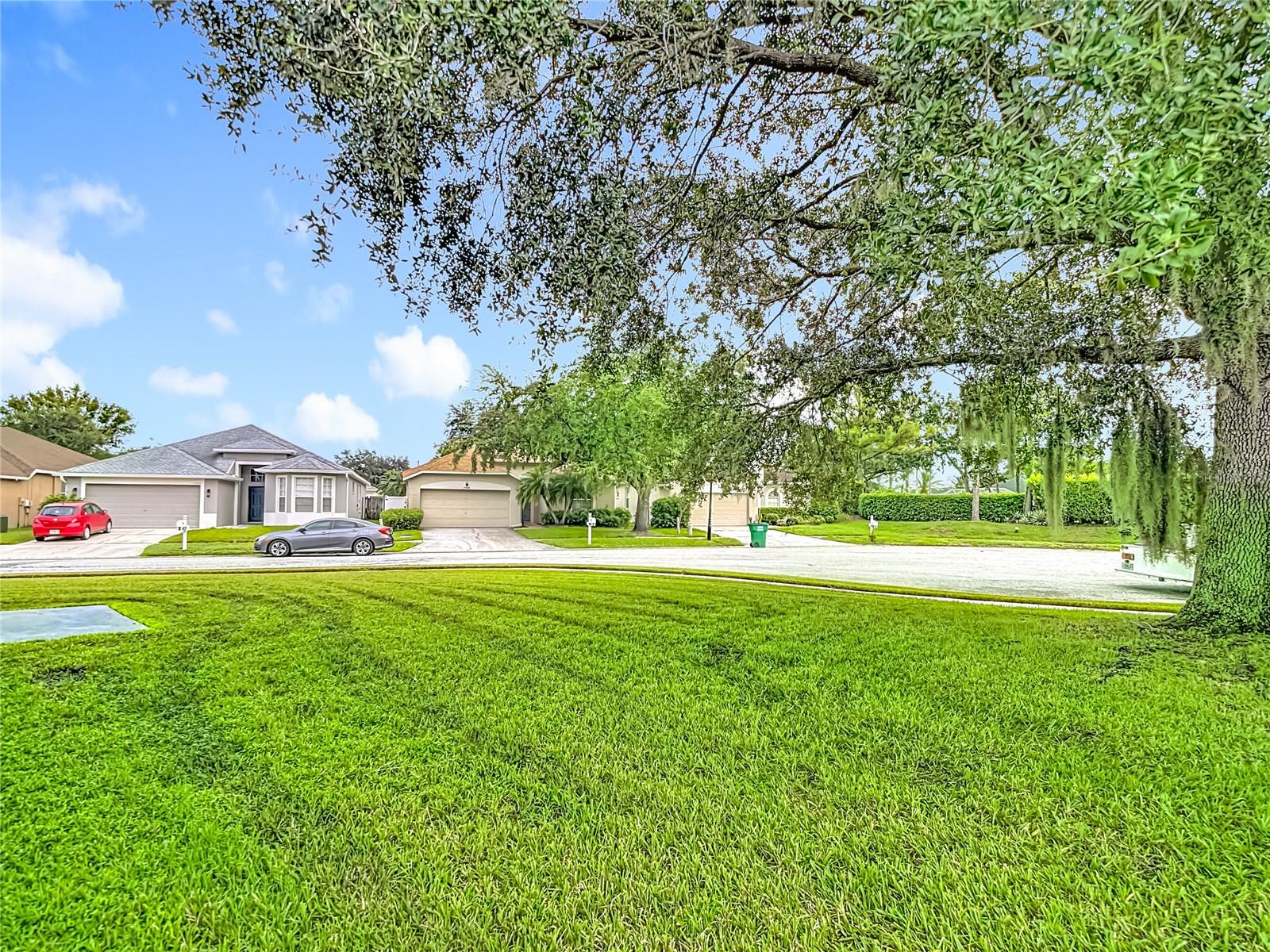 Large Lot on a dead-end street