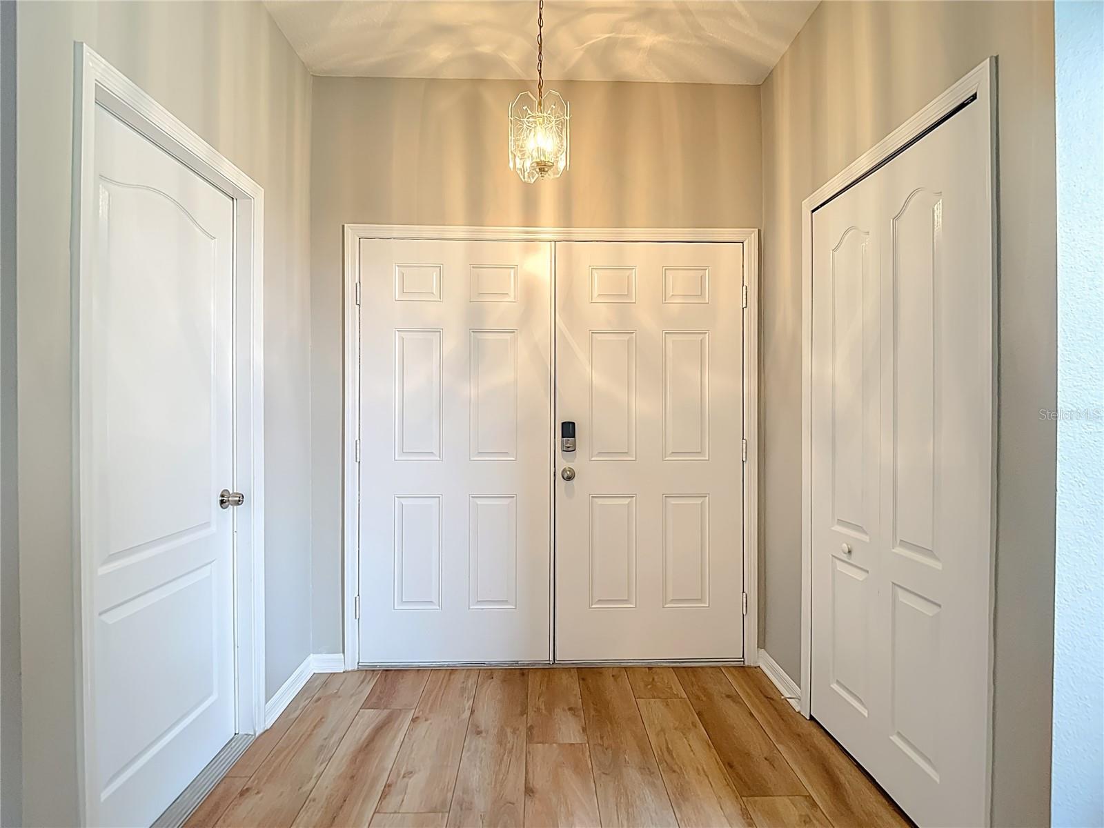 3 car garage to the left.  Spacious closet on the right.