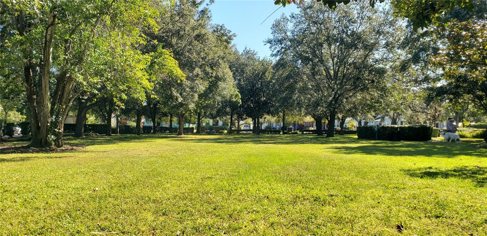 Seminole Heights Garden Center Park area