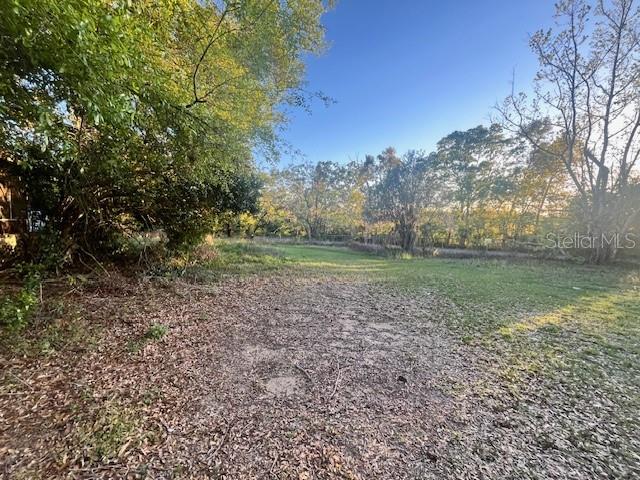 wide open yard