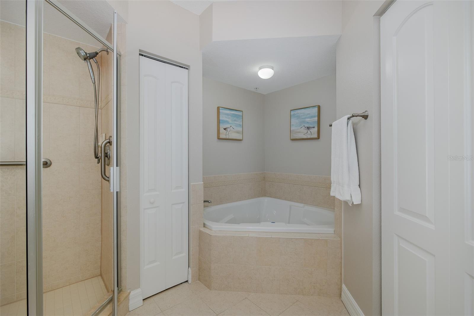 Separate shower and tub