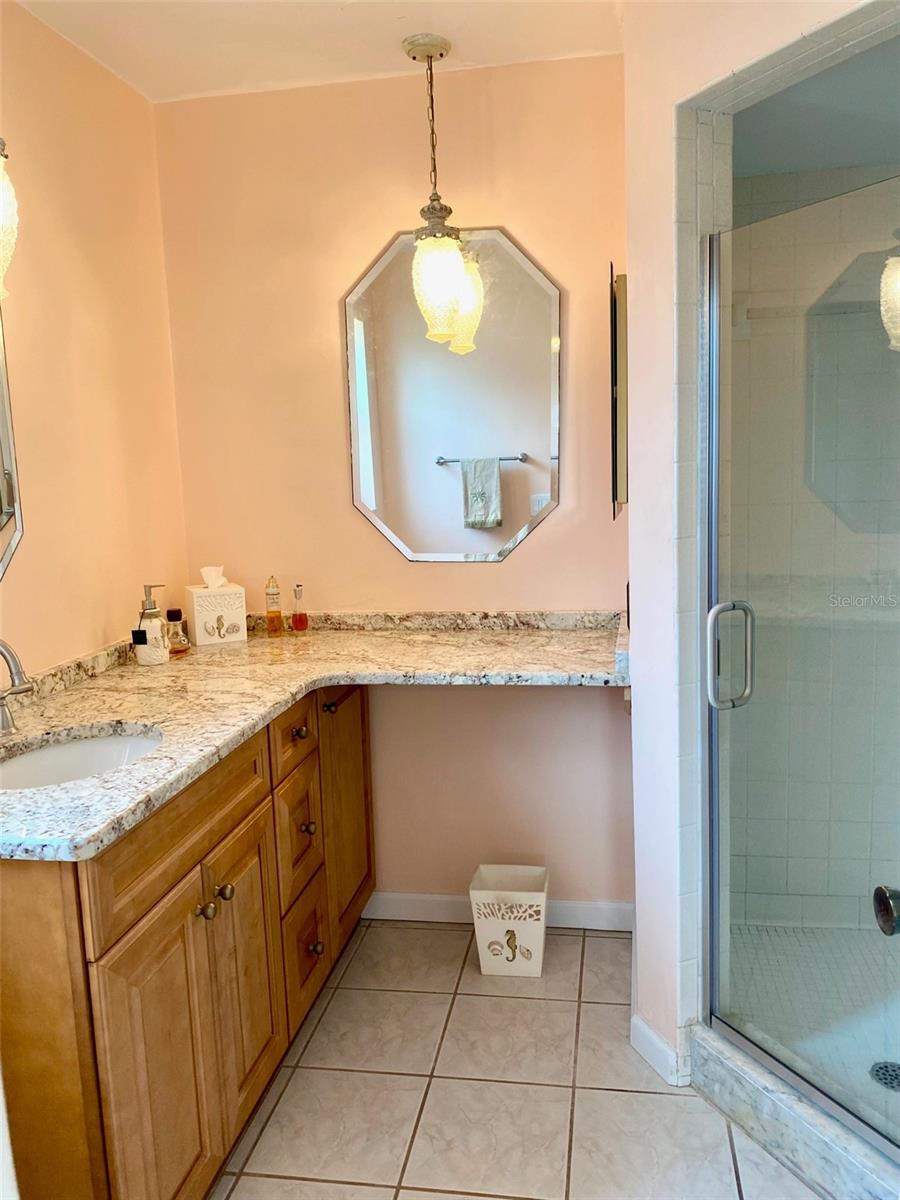 Primary Bath Shower