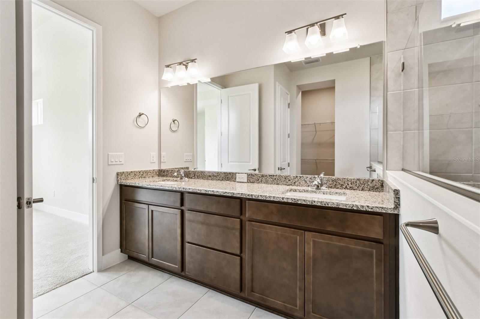 Owner's Bath