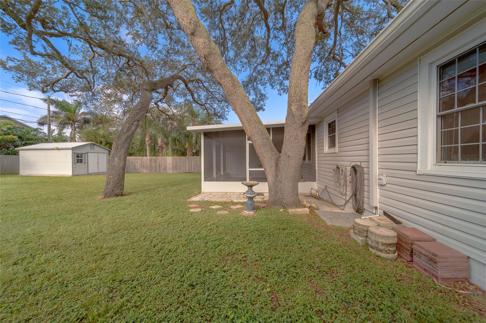 Back Yard