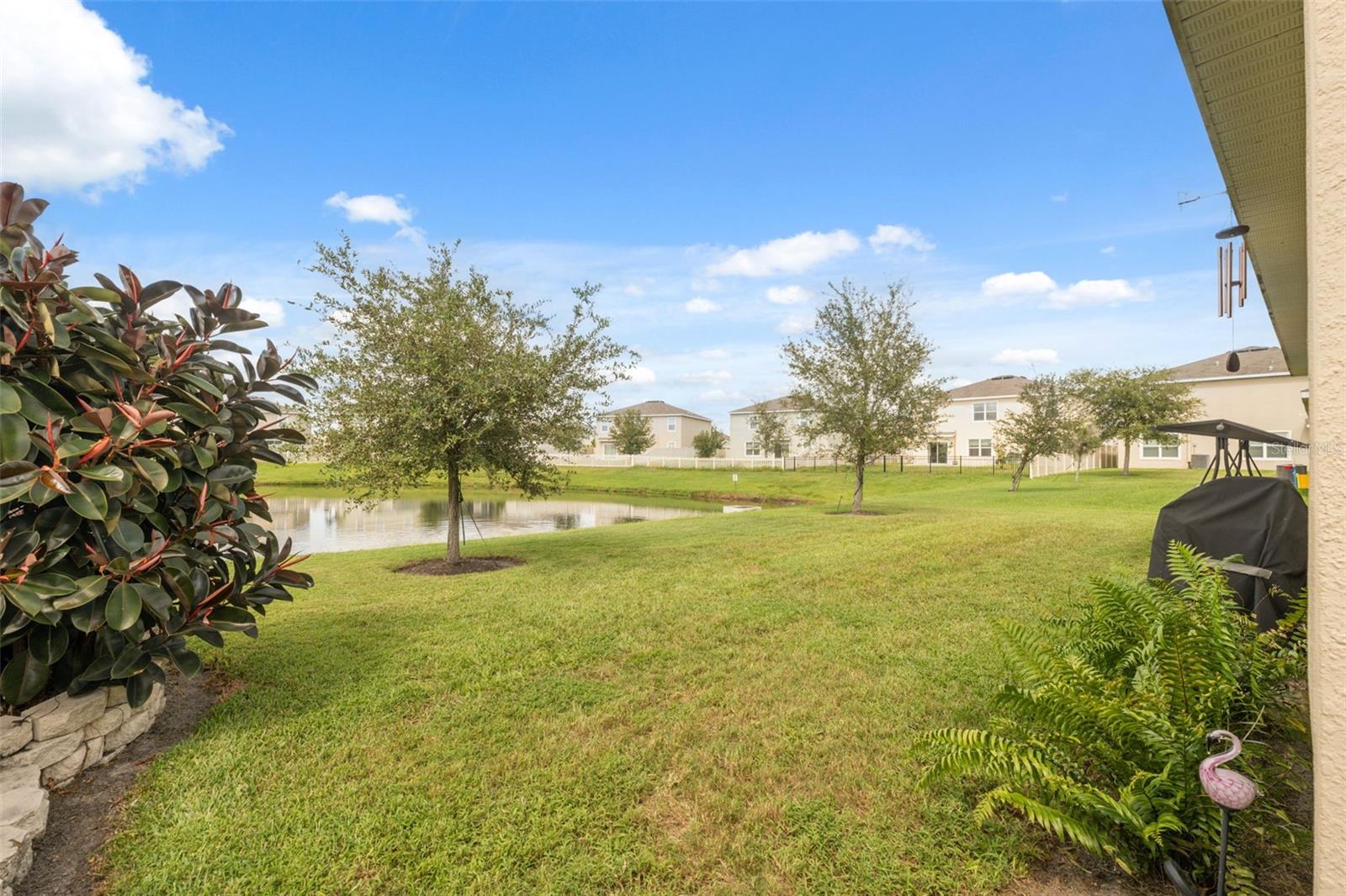 Rear Yard