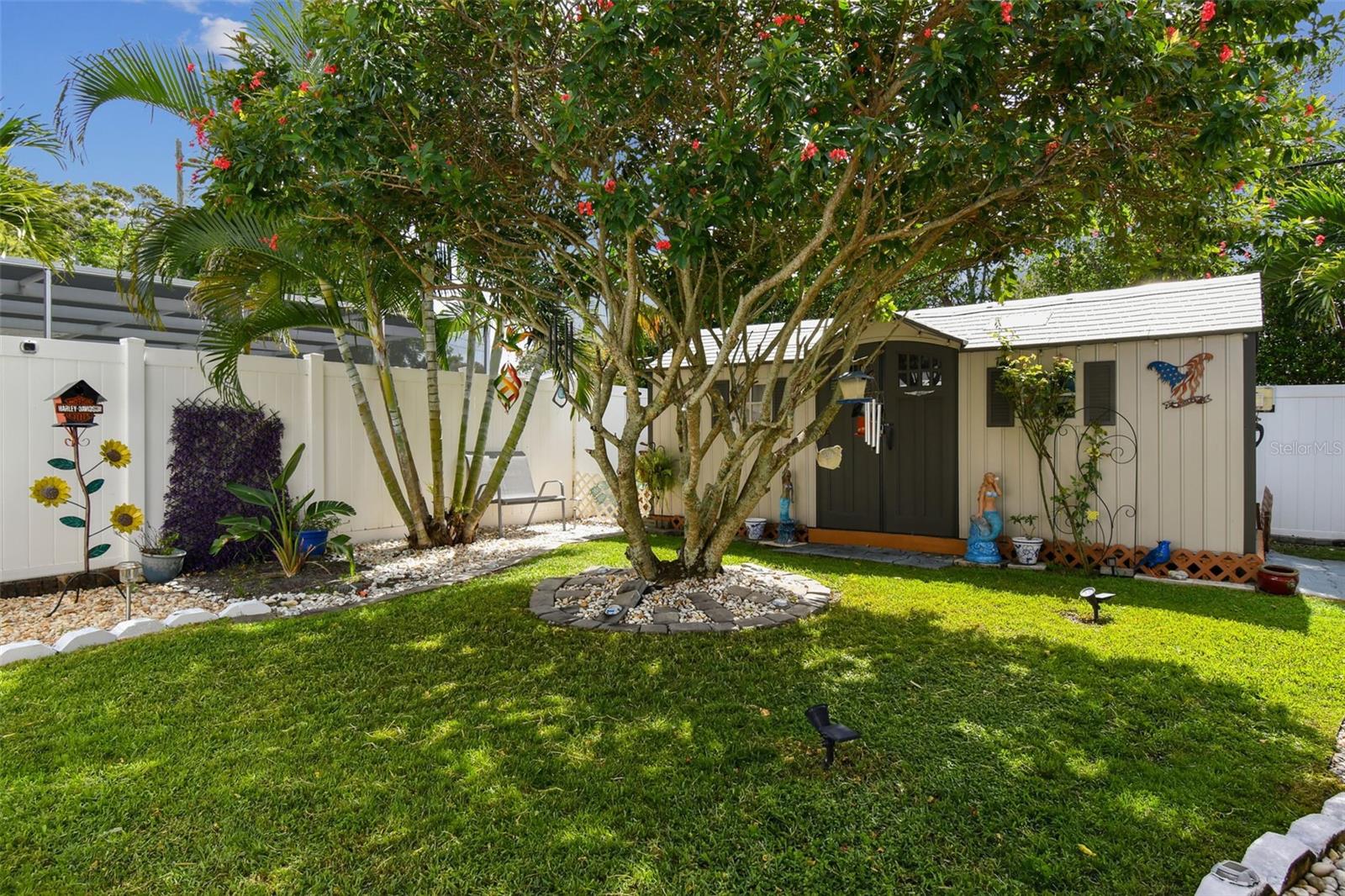 Green backyard area.