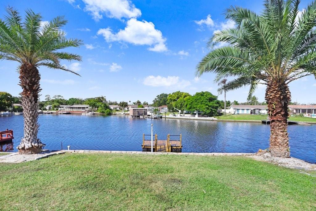 Backyard & Dock