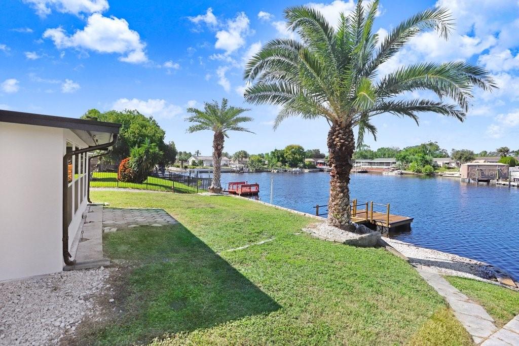 Backyard & Dock