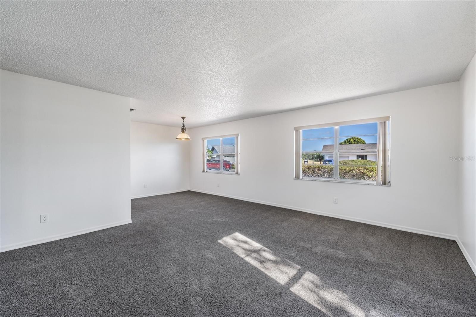 Living Room/Dining Room combo