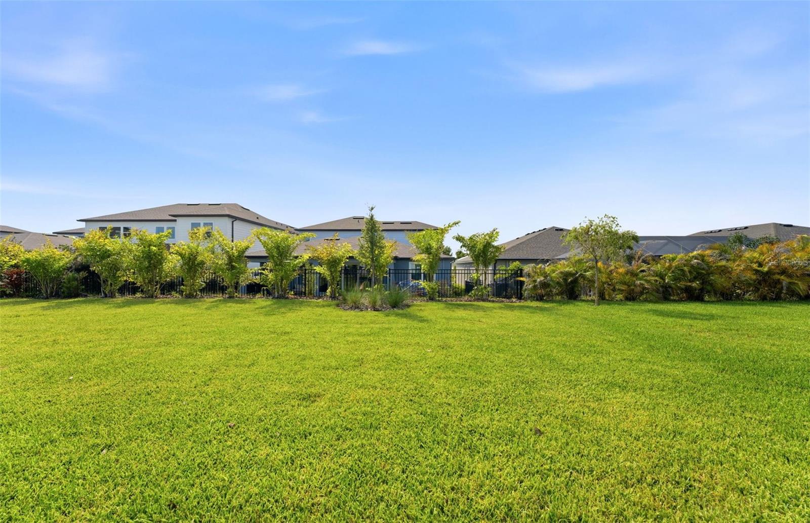Spacious Backyard