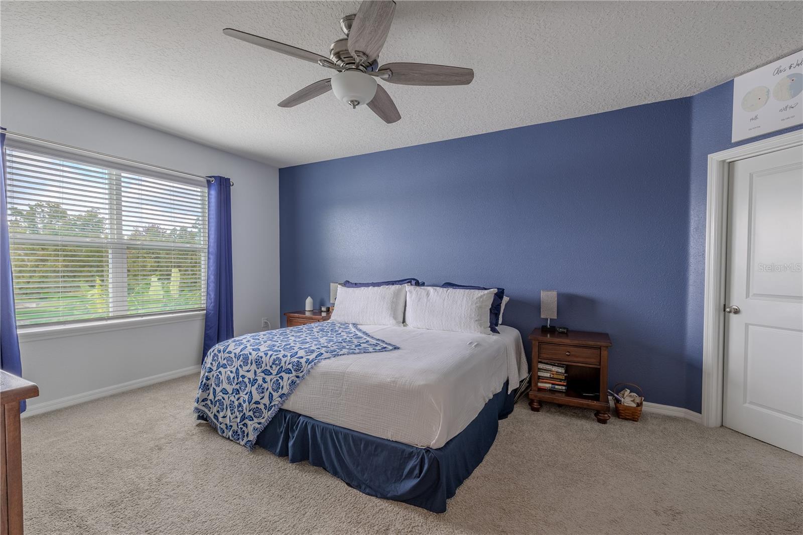 Spacious primary bedroom with plush carpet, ceiling fan, and plenty of natural light for a calm and comfortable retreat.