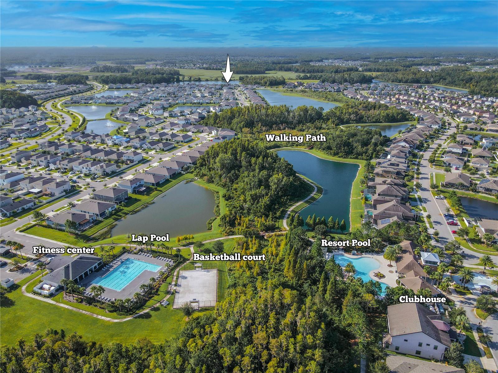 Community overview highlighting Union Park’s pools, walking trails, and the scenic ponds woven throughout the neighborhood.
