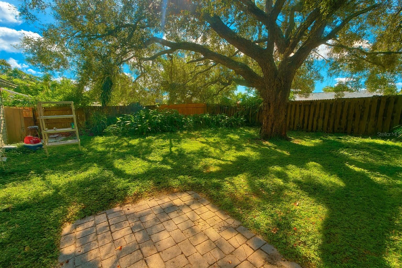 Spacious backyard