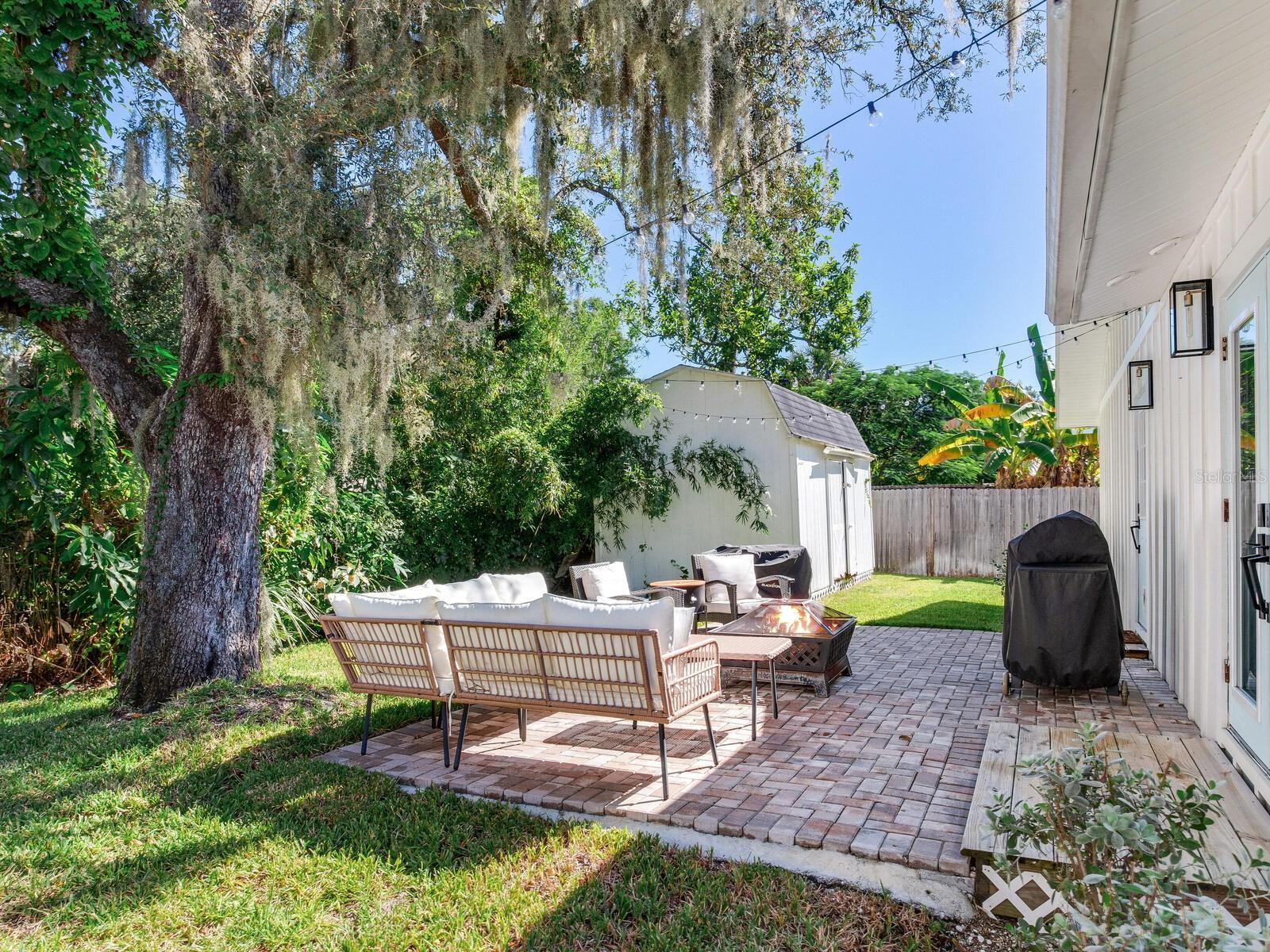 Backyard