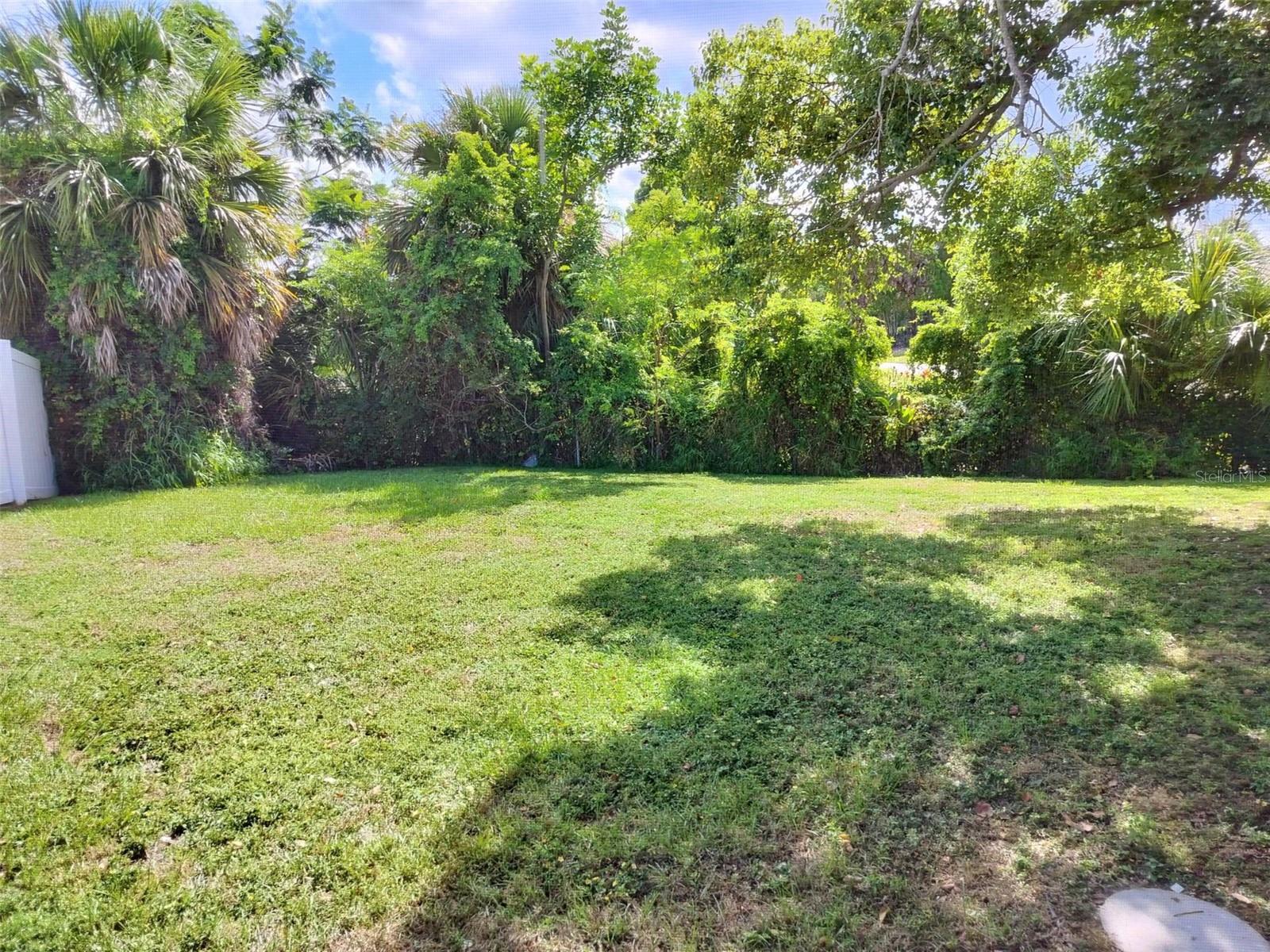 Back Yard