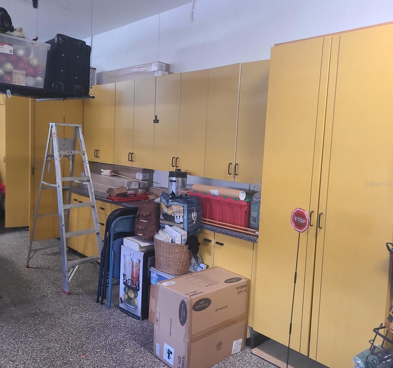 Wall to wall, floor to ceiling Garage Storage