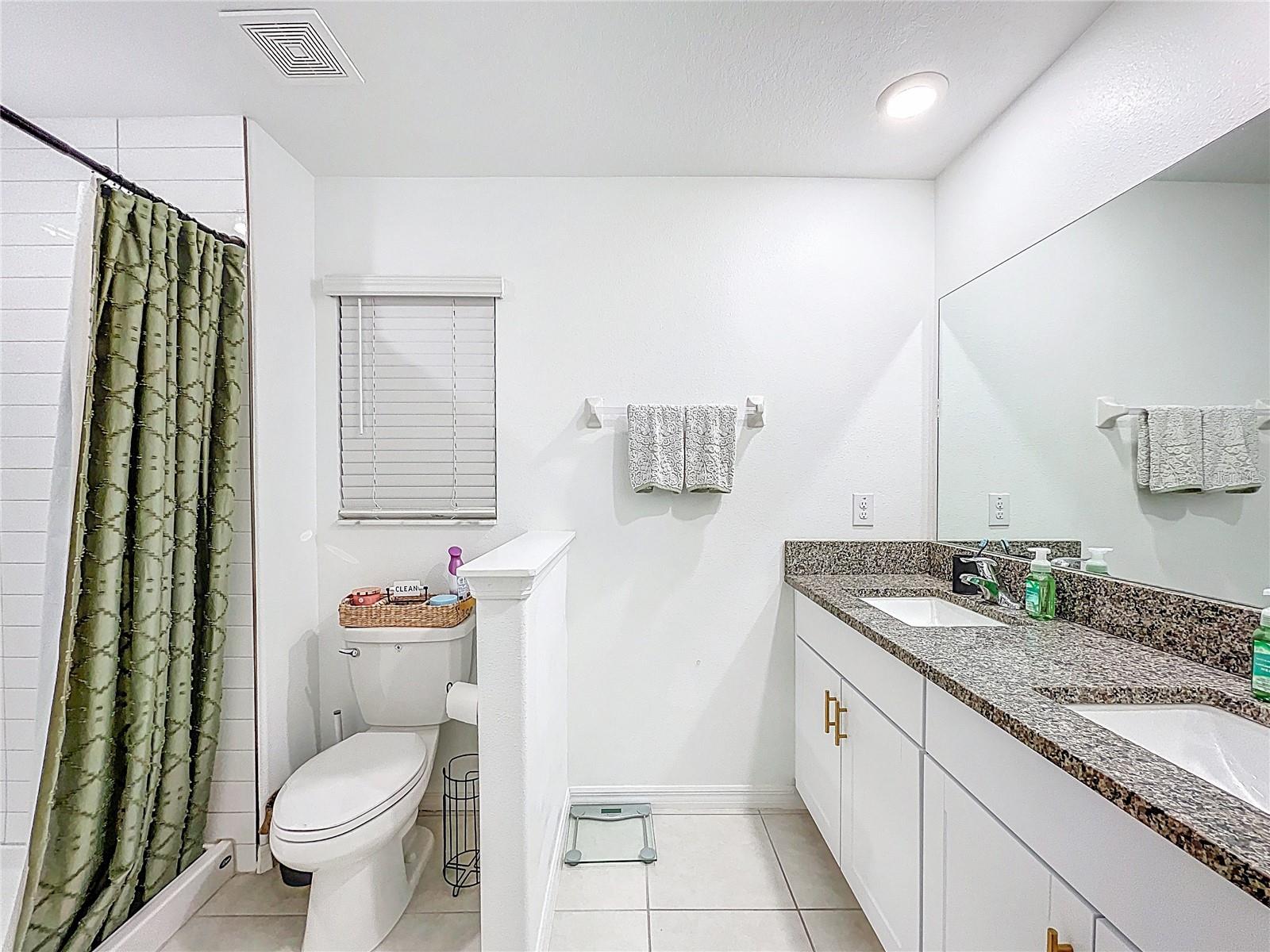 Primary Bath Stand up Shower