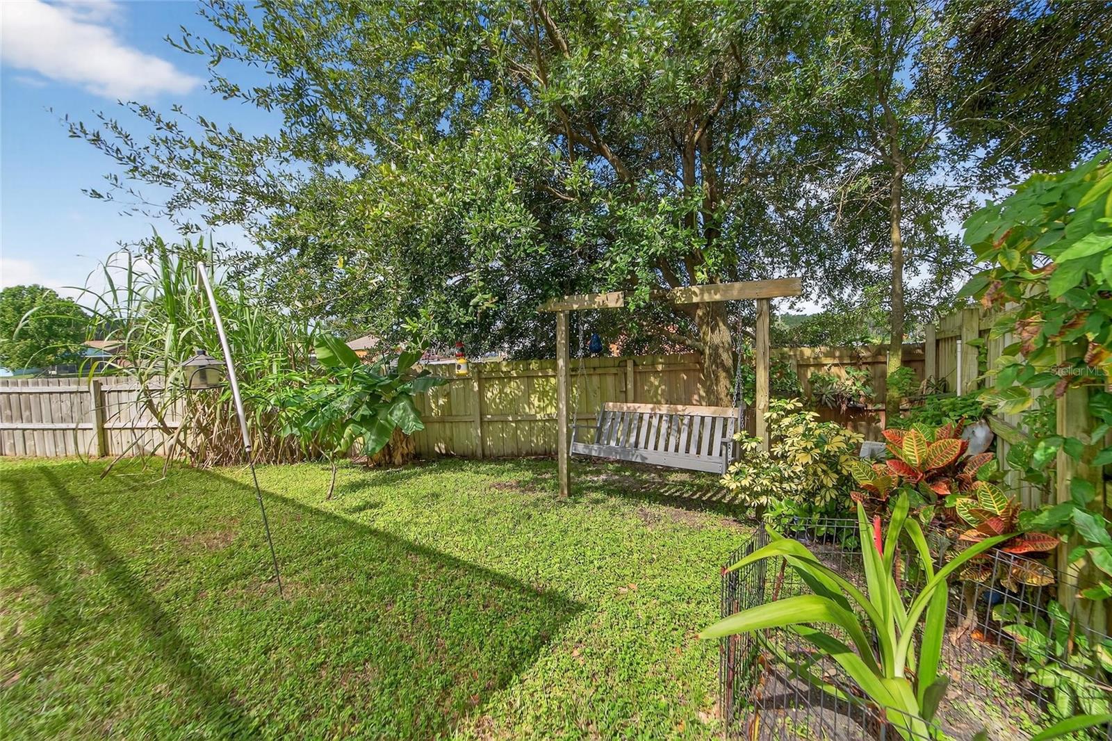 Backyard