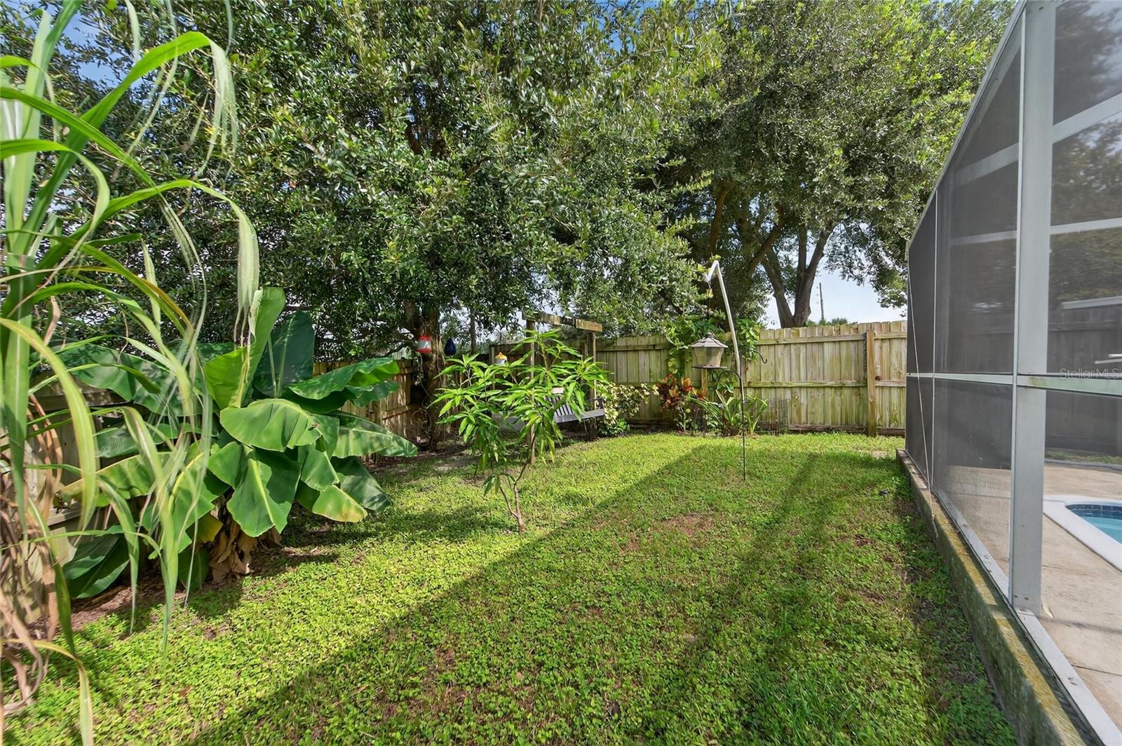 Backyard