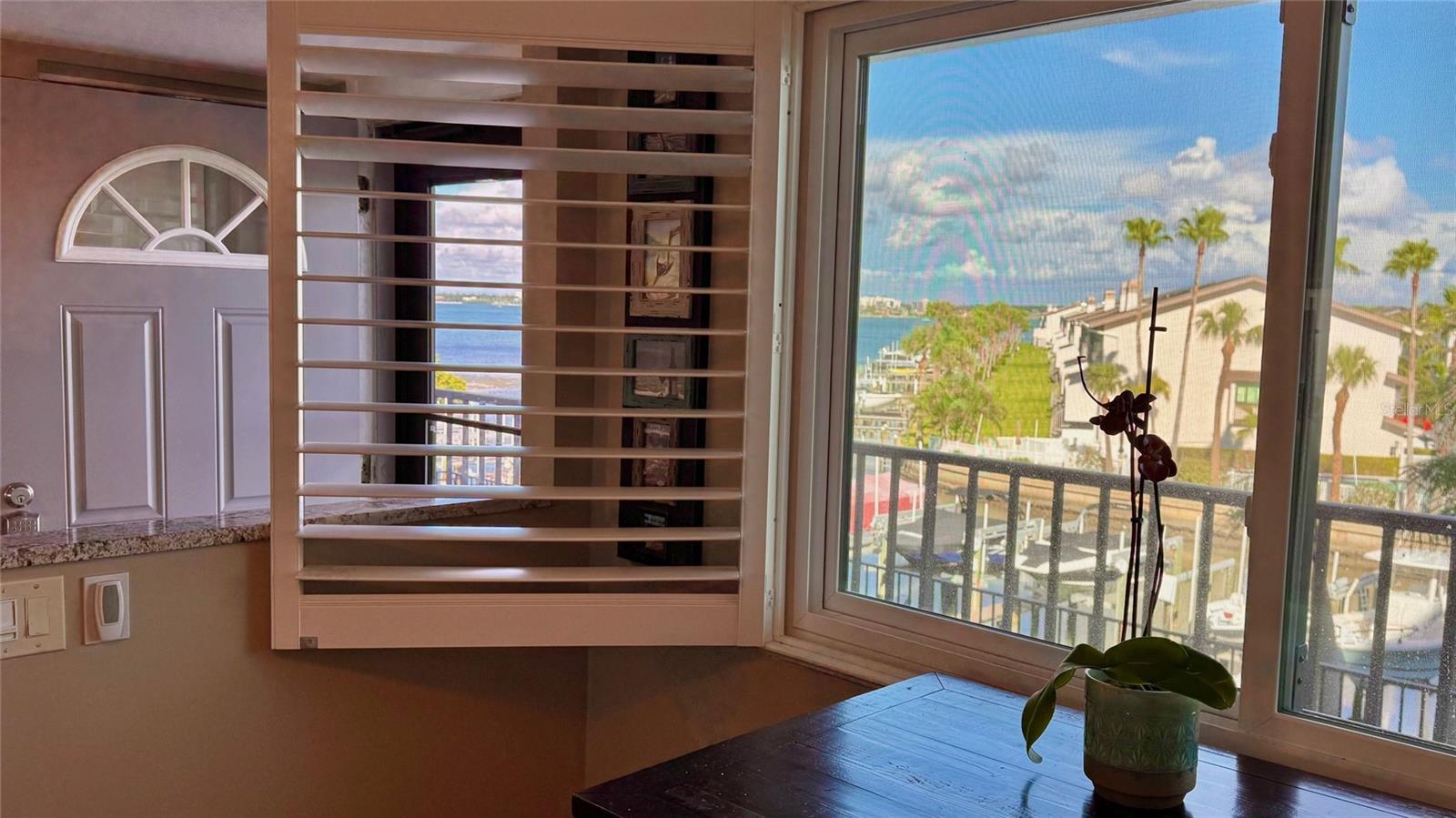 View From Kitchen