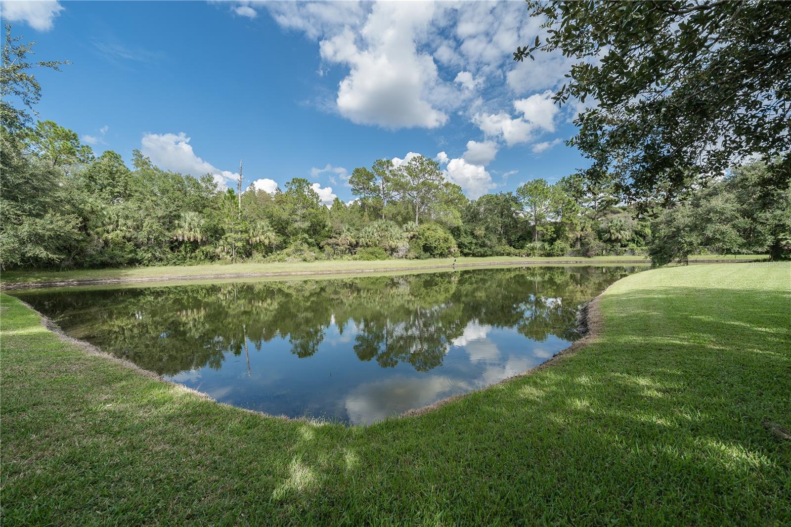 Pond Views