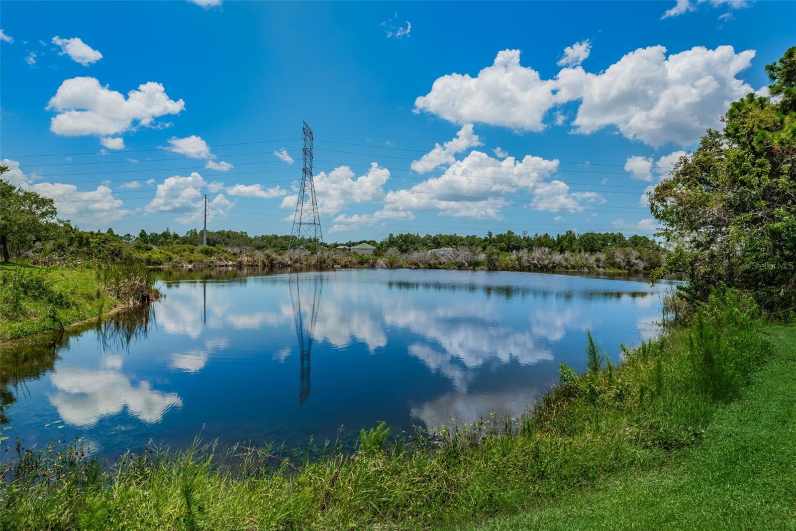 W7879552