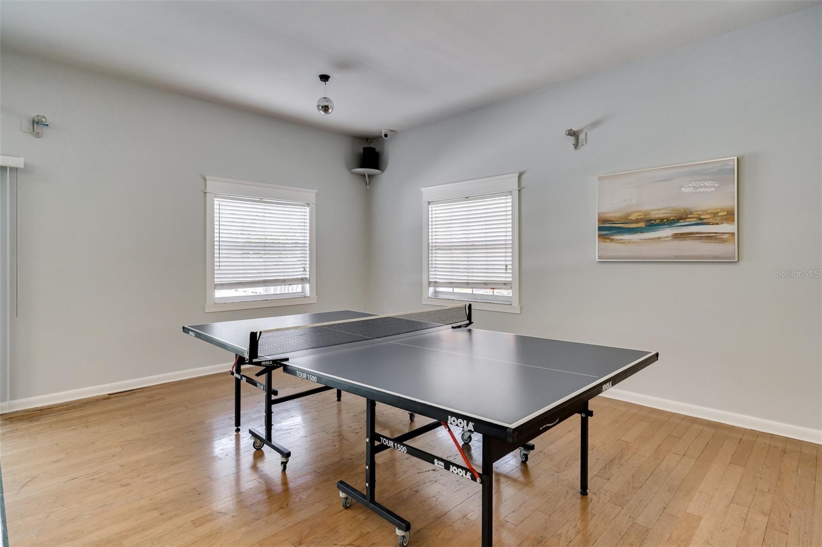 Ping Pong Table in the Clubhouse