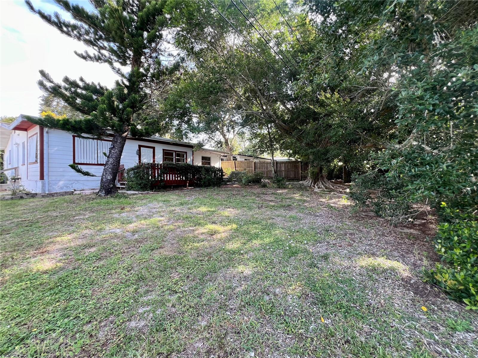Back yard space