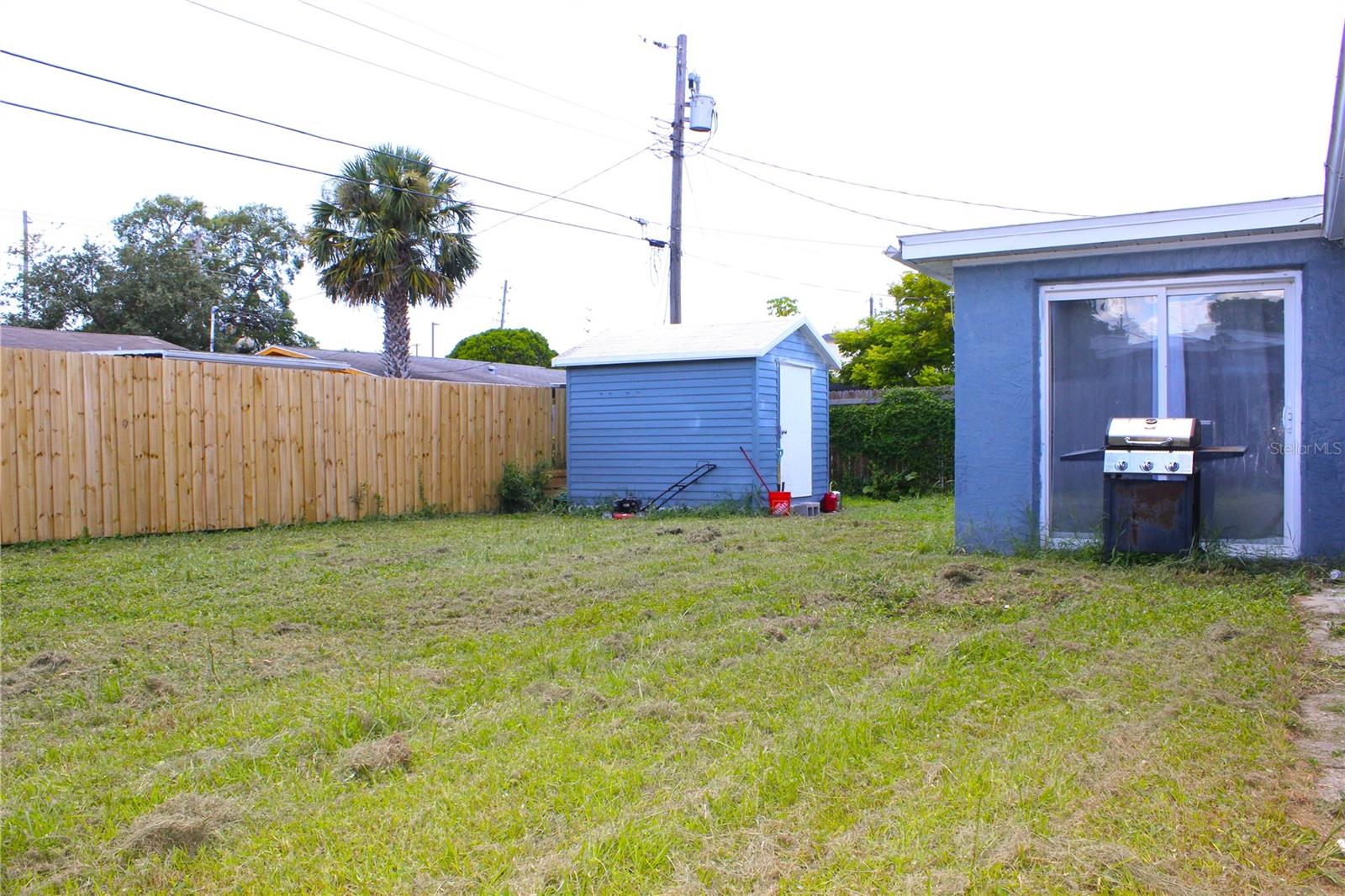 BACK YARD