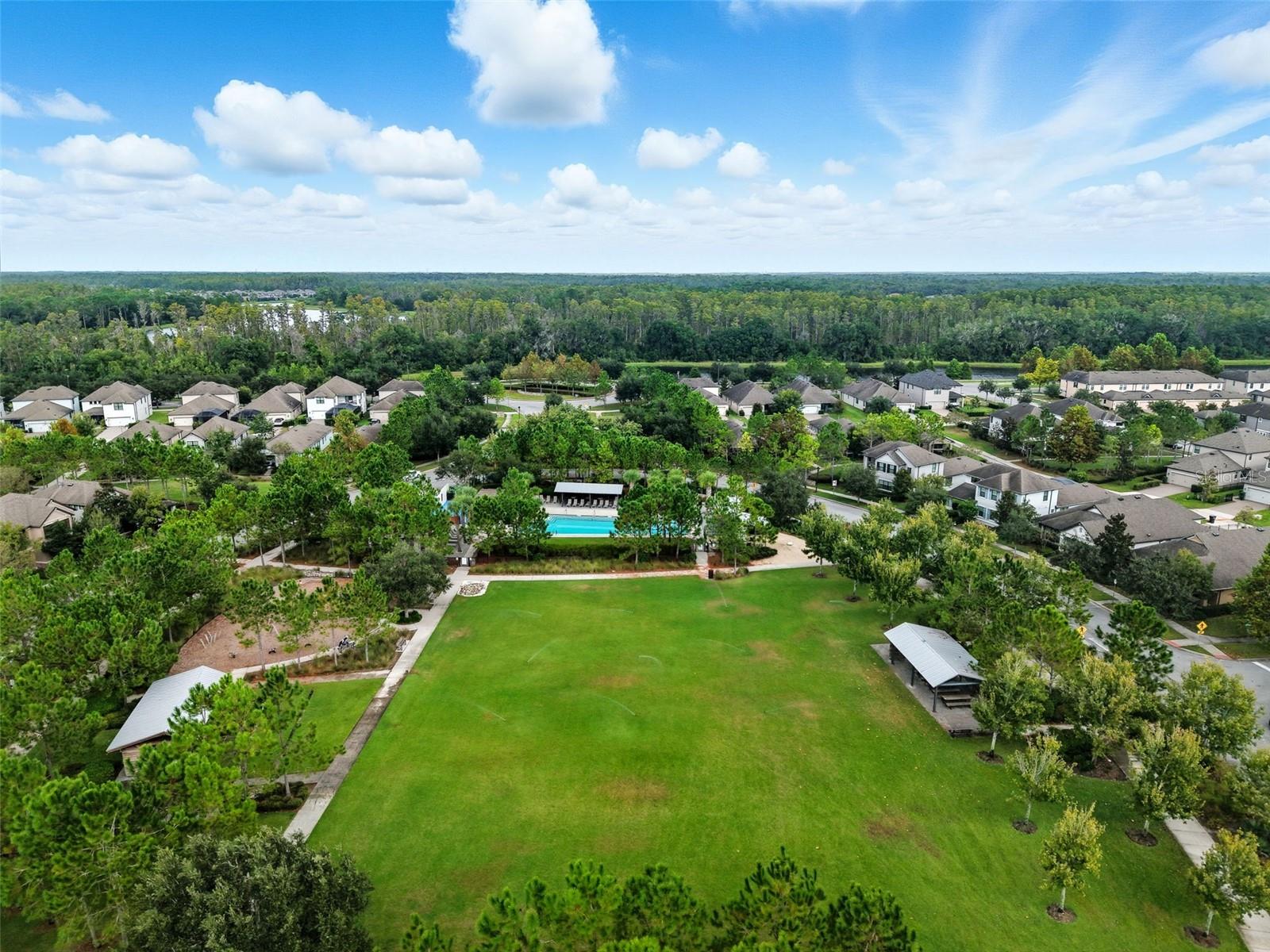 W7879564