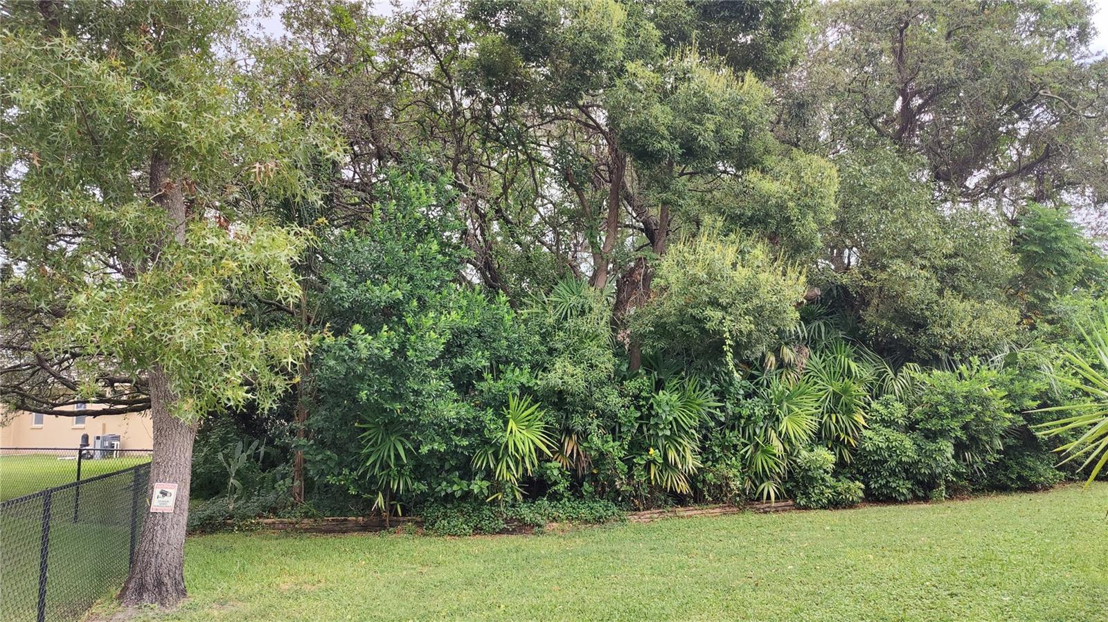Back yard forest provides shade and back yard privacy. Side fence belongs to neighbor.