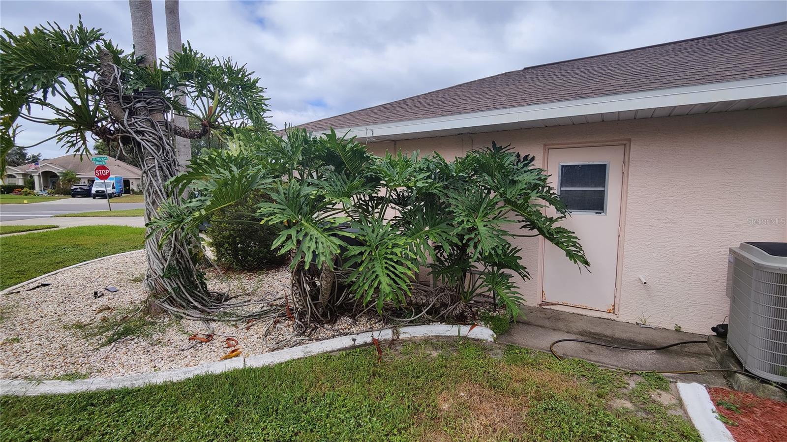 Tree hugging foliage.  Side entry door to garage.