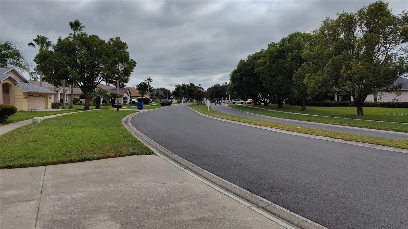 Street view from home of this pristine neighborhood.