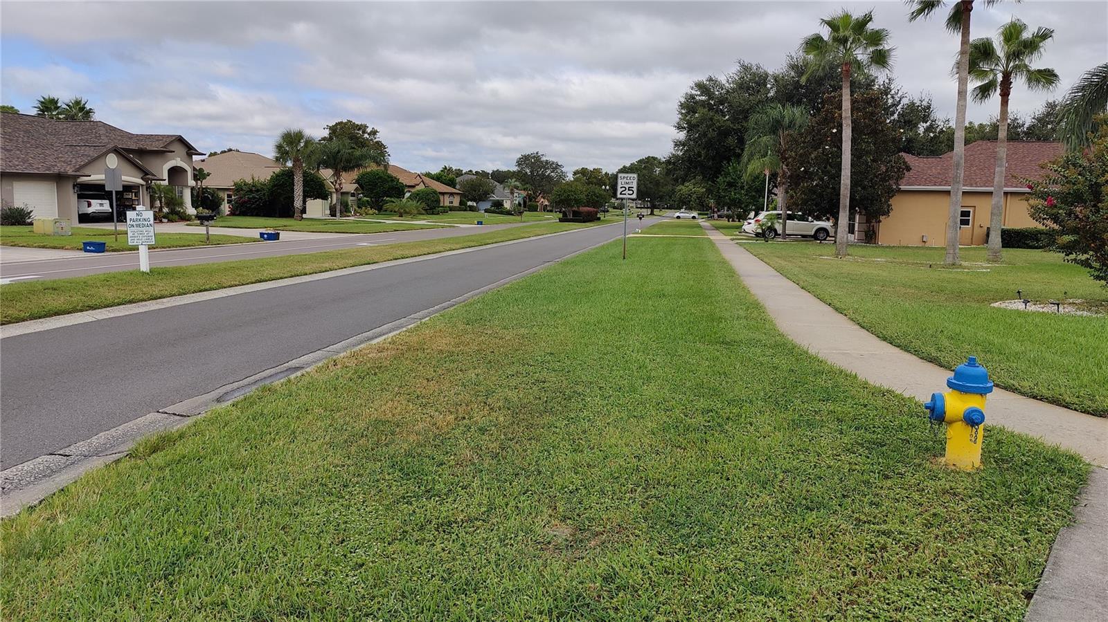 Street view from home of this pristine neighborhood.