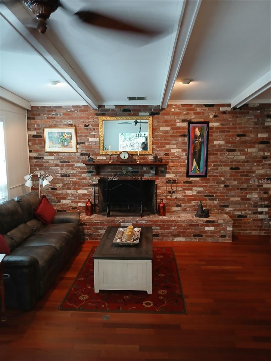 Fireplace in Family room