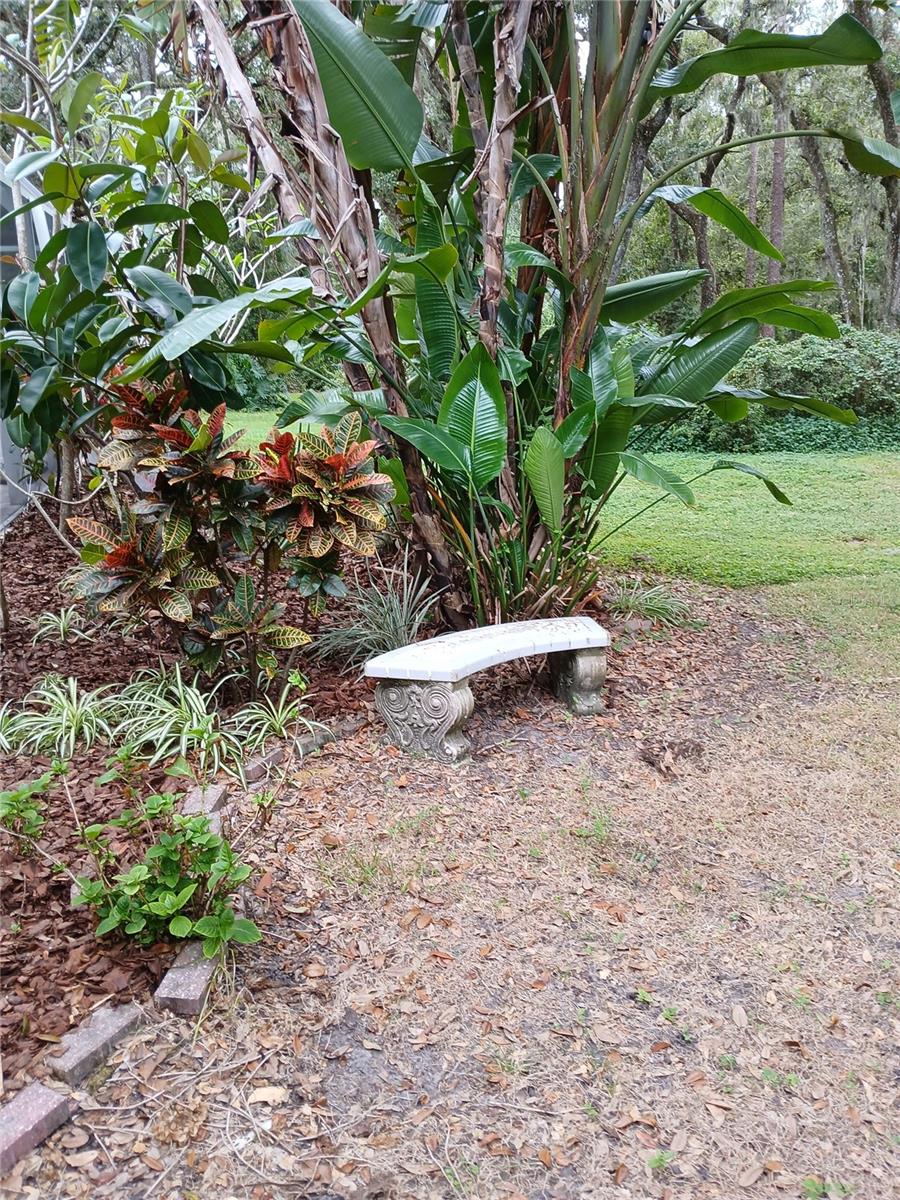 Tropical foliage