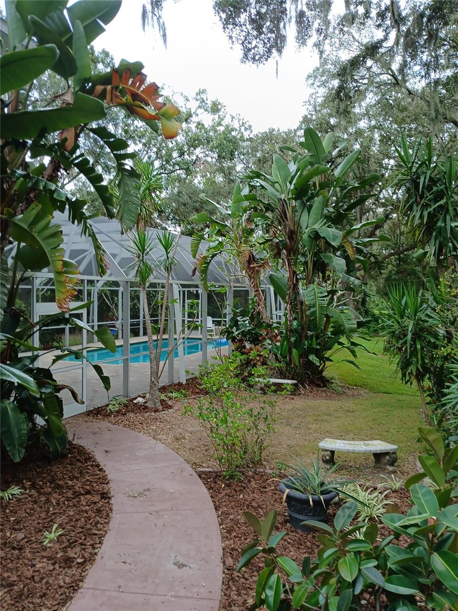 Rear deck leading to the pool
