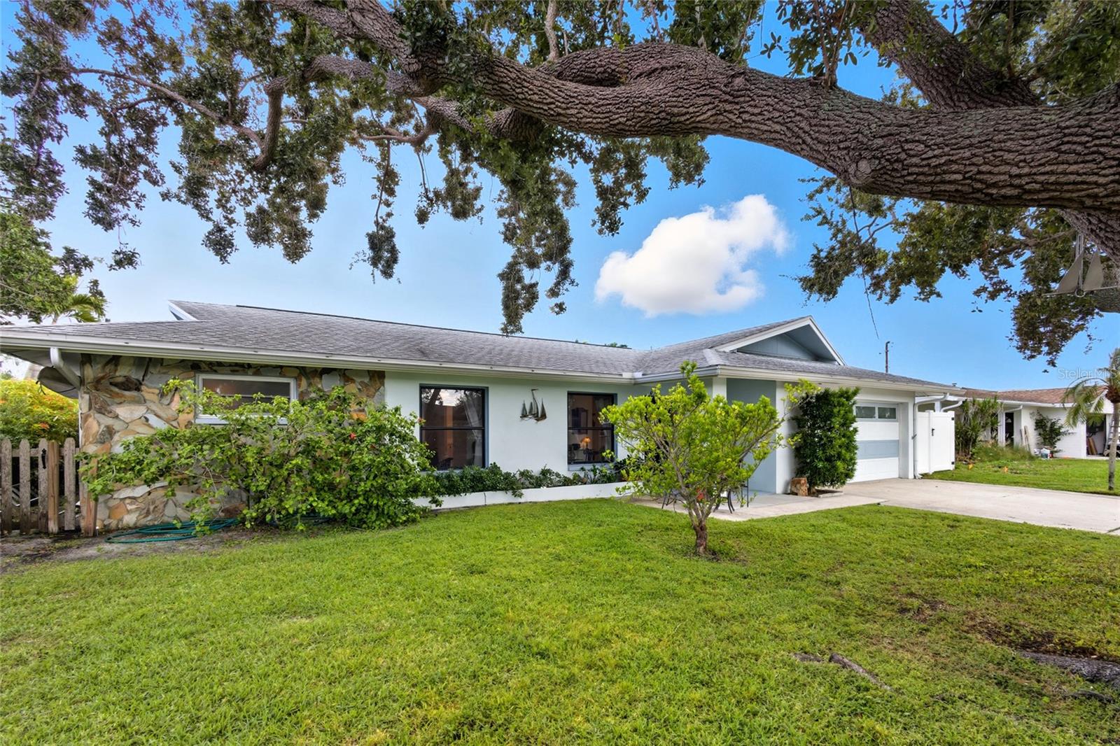 Gorgeous Live oaks offer beauty and shade!